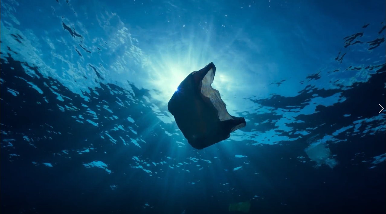 生存环境岌岌可危，“禁塑”迫在眉睫